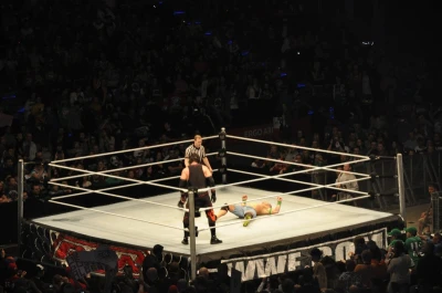 Wrestling - wszystkie chwyty dozwolone