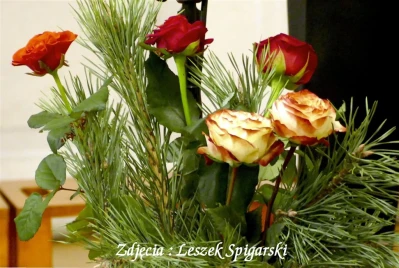 fot. Leszek Spigarski