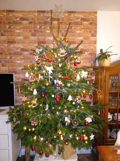 IMG_20201219_195013811.jpg