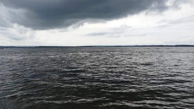 Marsz Śledzia Kużnica-Rewa 2017