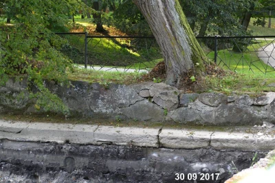 Remont łabędziego stawu w Parku Miejskim, 2017, fot. Leszek Spigarski