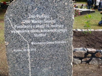 fot. Daniel Zaputowicz