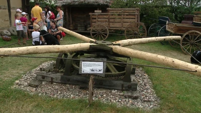 Krancbal 2014