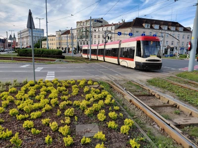 Szykują się spore utrudnienia w centrum Gdańska