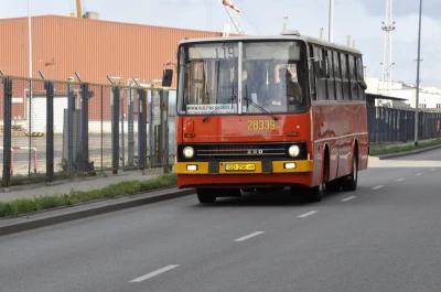 Zabytkowe ikarusy jeździły po Gdyni