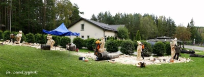 IV Ogólnopolski Plener Artystyczny, Bieszkowice 2017