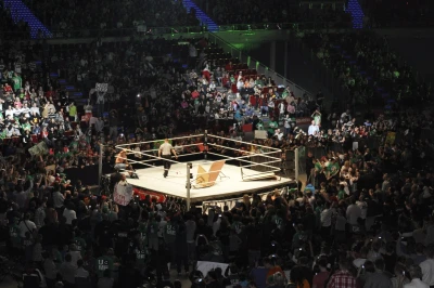 Wrestling - wszystkie chwyty dozwolone