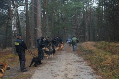 Czworonogi przeszły szkolenie