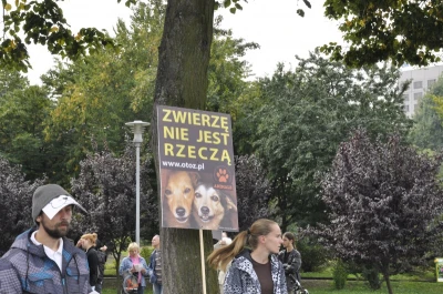 Z łańcuchem na szyi - Zwierzę nie jest rzeczą