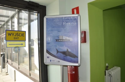 Europejski Tydzień Rekina w gdyńskim Akwarium