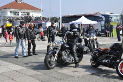Motoserca w Sopocie