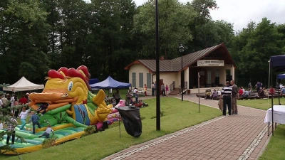 Piknik Ginących Zawodów w Domku Drzewiarza