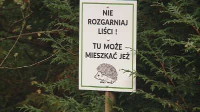 Jeżostrefy w Wejherowie - warsztaty dla dzieci