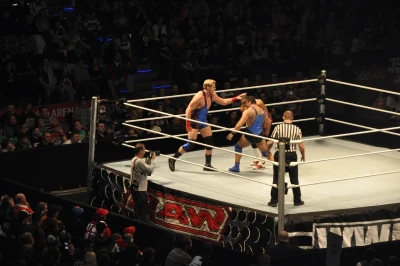 Wrestling - wszystkie chwyty dozwolone