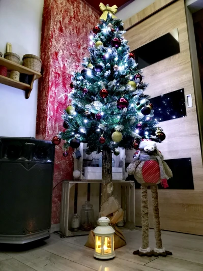 IMG_20201212_183956.jpg
