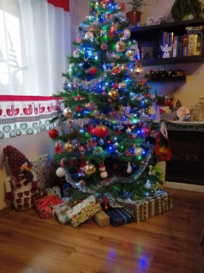 IMG_20201224_134525.jpg