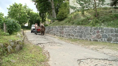 Dożynki w gminie Wejherowo