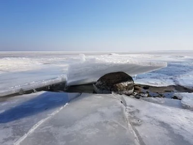 29020160_1913844951981861_1517707459_n.jpg