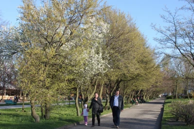 Wiosna w Gdyni