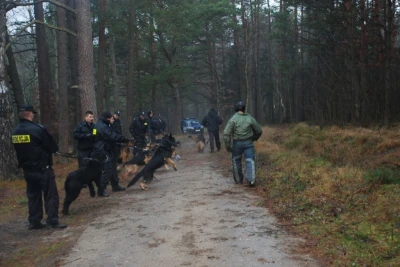 Czworonogi przeszły szkolenie