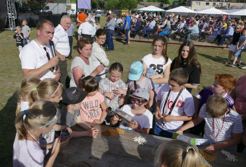 Przetoczyno 2017 - Noc Kupały gminy Szemud. Fot. Leszek Spigarski.