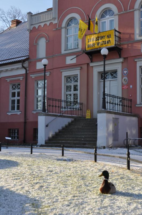 Piękna zima... tej wiosny! -> spacer przy Muzeum