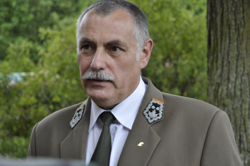 W pomorskich lasach przybyło sokołów pustułek
