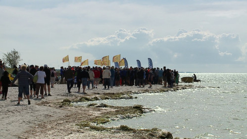 Marsz Śledzia 2014