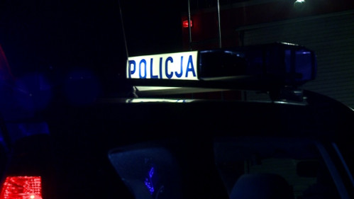Auto dostawcze uderzyło w drzewo