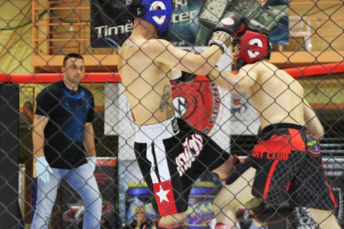 Puchar Polski Północnej Amatorskiego MMA w Gdyni