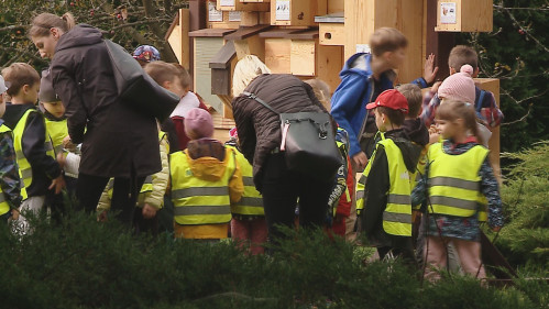 Jeżostrefy w Wejherowie - warsztaty dla dzieci