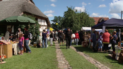 Krancbal 2012