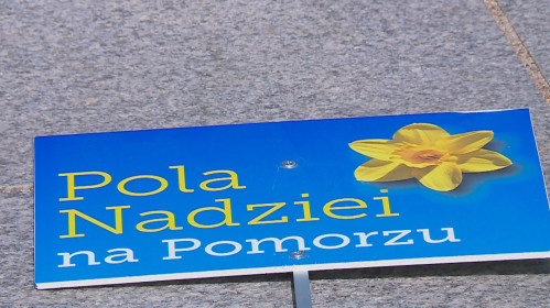 Pola nadziei 2021