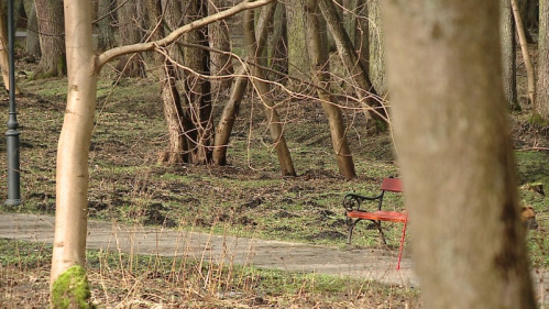 Park Majkowskiego, Wejherowo