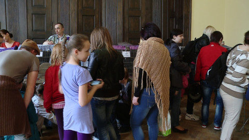 Koty opanowały wejherowskie gimnazjum