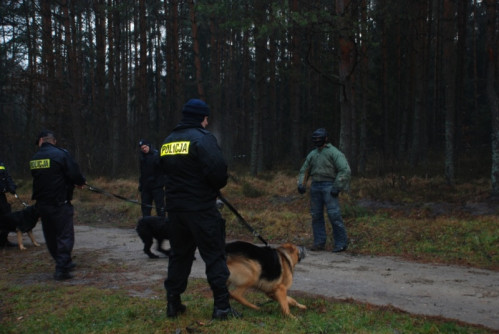 Czworonogi przeszły szkolenie