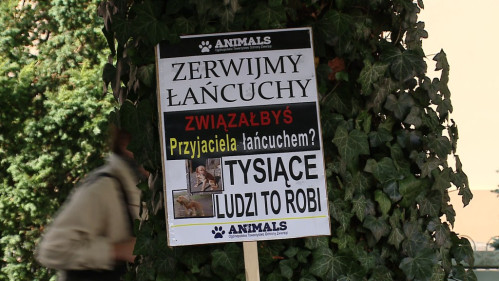 Wejherowo: Przykuli się łańcuchami do bud
