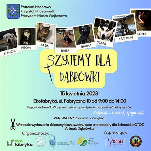Uszyli kilkaset legowisk dla bezdomnych psów