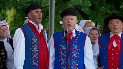 Koncert zespołu Redzanie w redzkim parku 