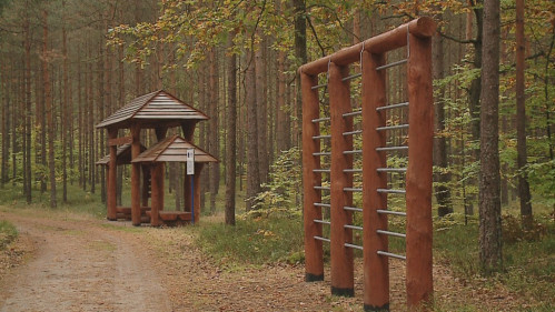 Wolność jest w naturze, czyli biegi w Luzinie