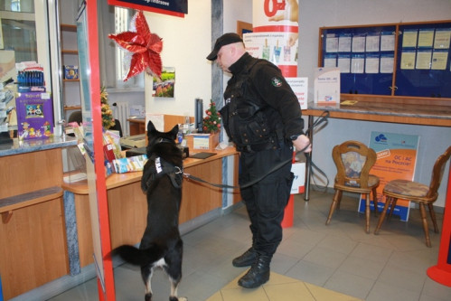 Ćwiczenia Policji w Sopocie