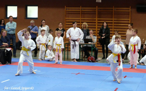 Wejherowo 2017: Pomorski Turniej Karate Tradycyjnego - fot. Leszek Spigarski