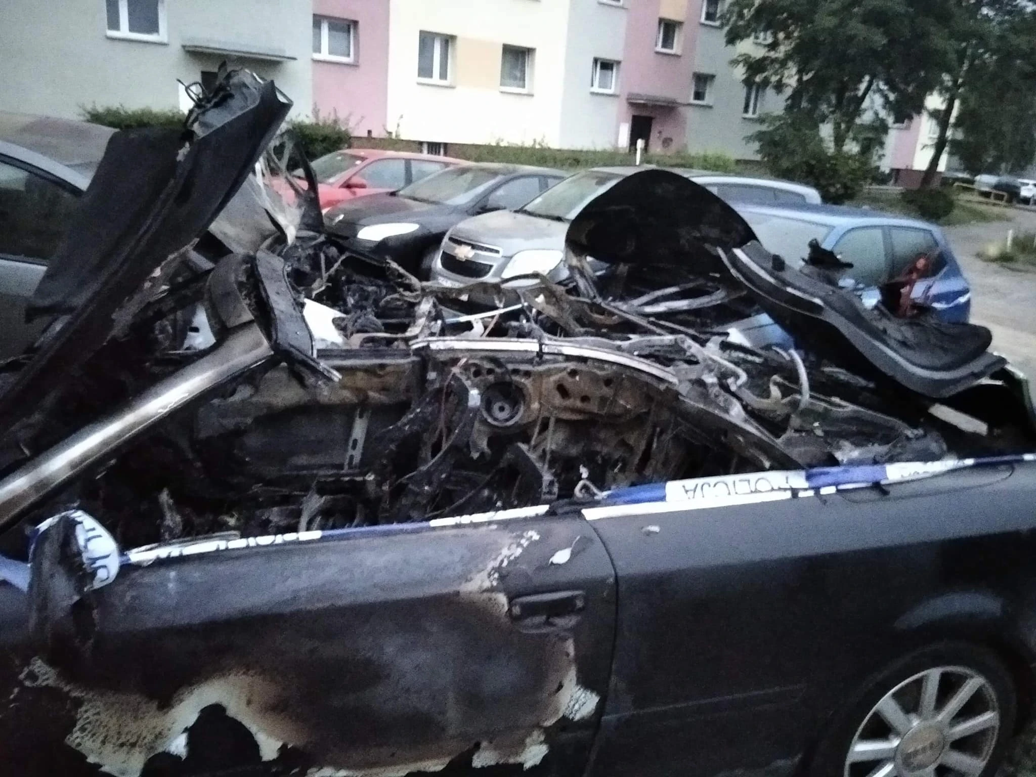 Fot. Czytelniczka N24