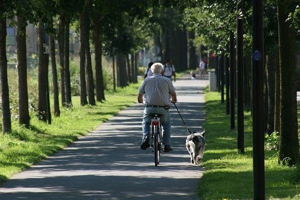 Majówka na rowerze 