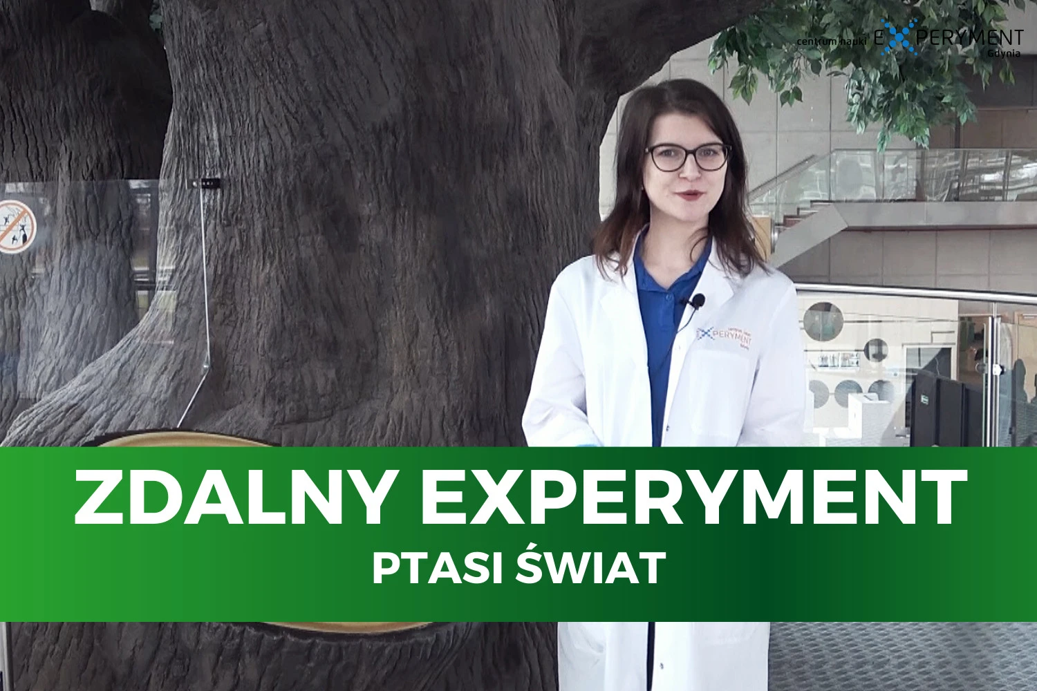 Mat. pras. CN EXPERYMENT