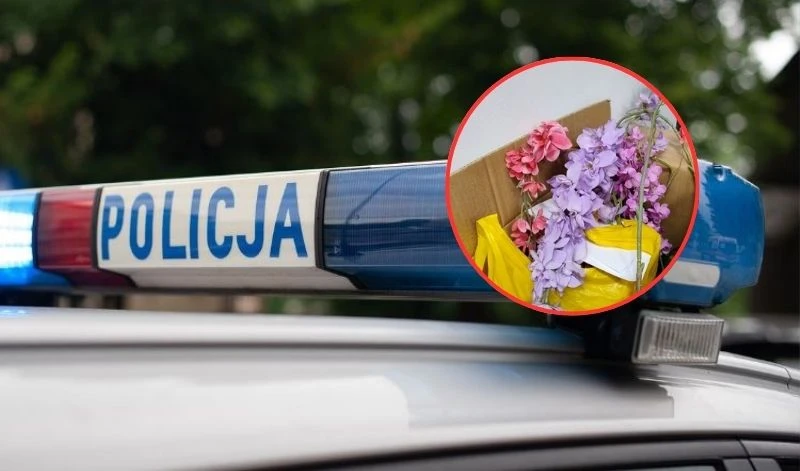 fot. KMP w Gdańsku/pixabay.com 