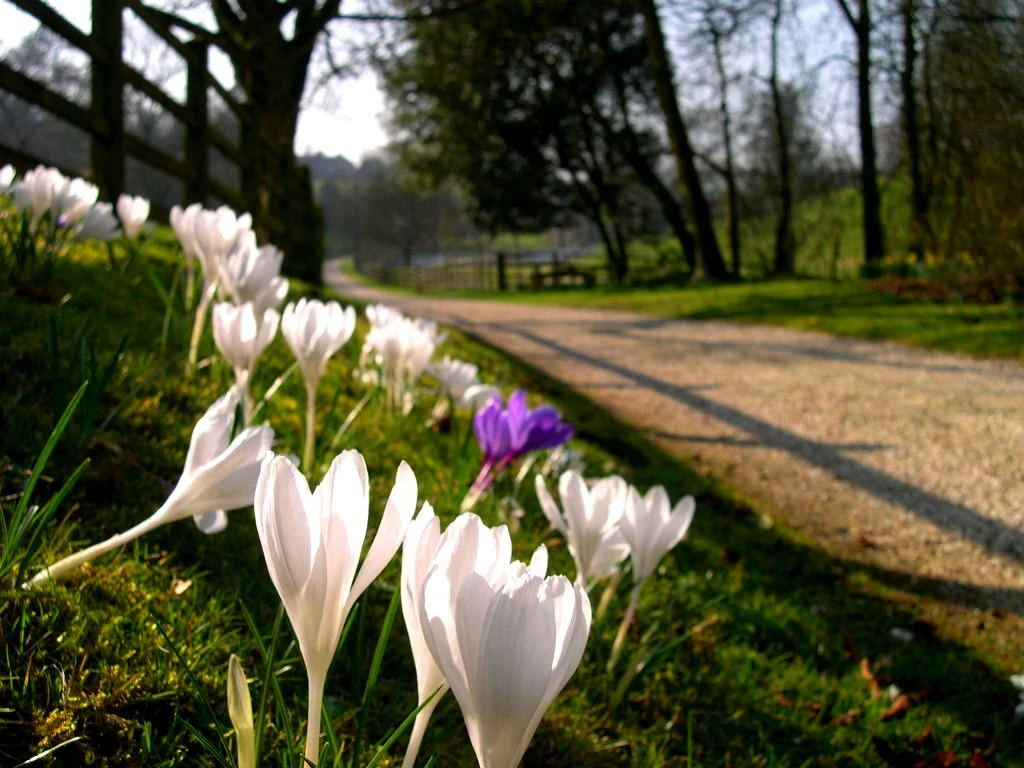 Pogoda na weekend - wrócą przymrozki