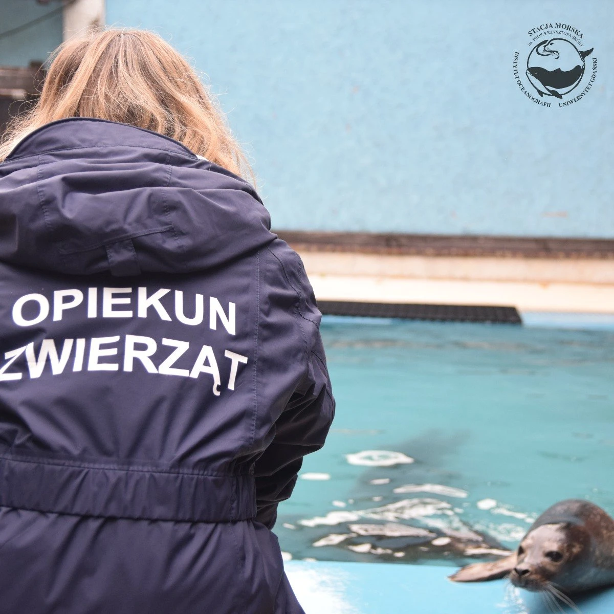 Fot. Helskie fokarium 