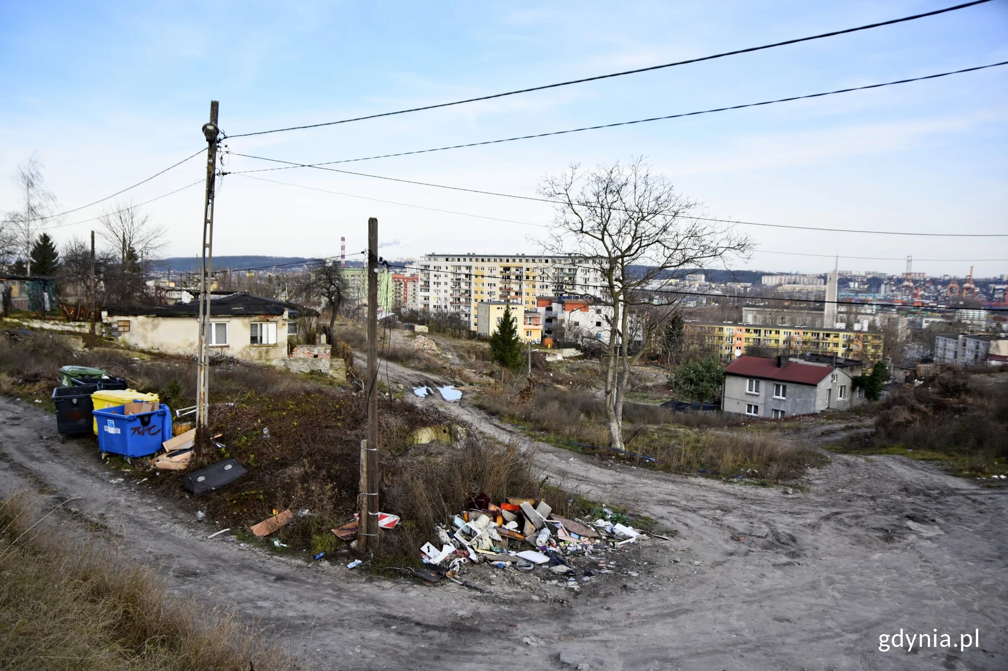 Źródło: gdynia.pl
