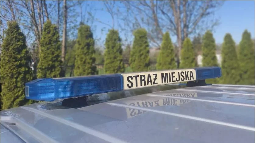 Fot. SM Gdańsk